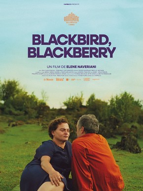 Blackbird, blackberry