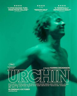 Urchin